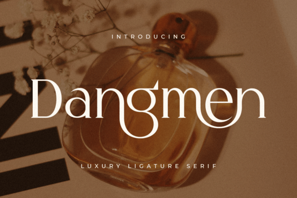 Dangmen: A Serif Font for Elegant Web Design