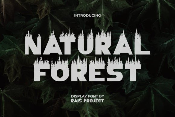 Natural Forest Font Review