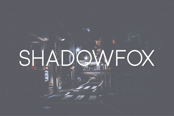 Shadowfox: A Contemporary Sans Serif Font for Campaign Design